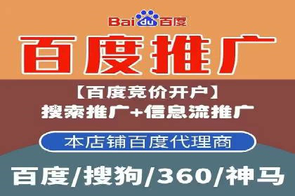 成功SEM服务案例：优化广告投放